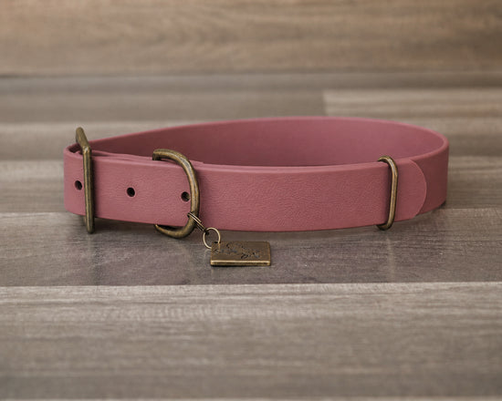 Mauve Buckle Collar