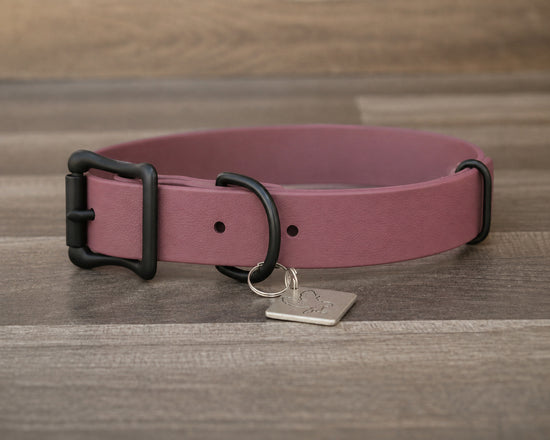 Onyx Mauve Buckle Collar
