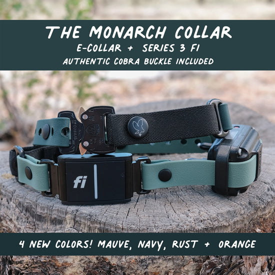 The Monarch Collar