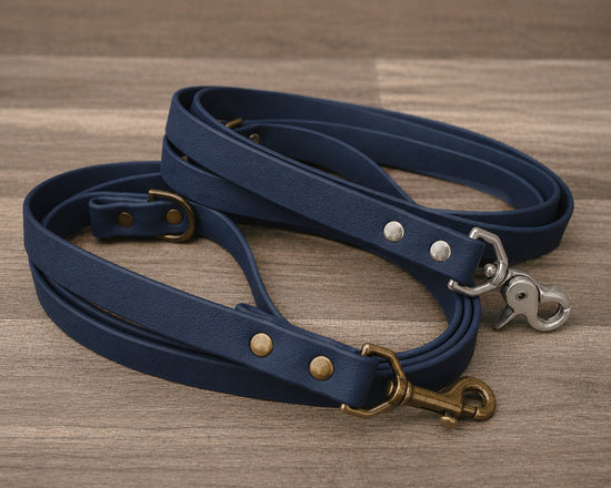 Navy Leash