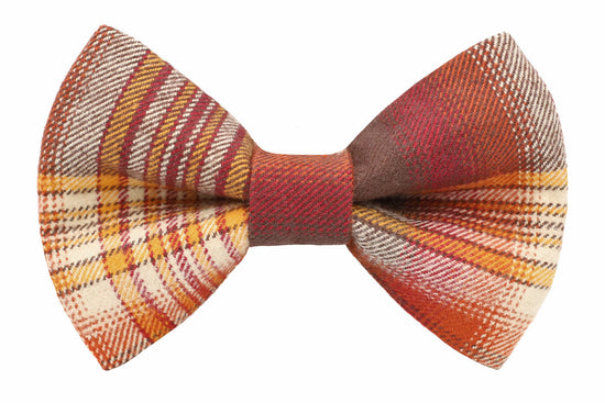 Salem Bow Tie