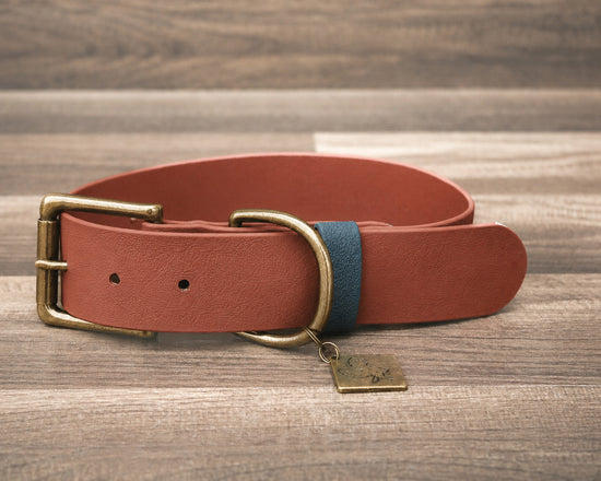 Rust Buckle Collar 1.5"
