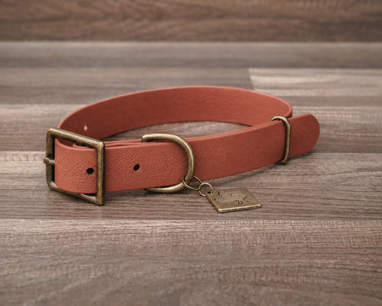 Rust Buckle Collar
