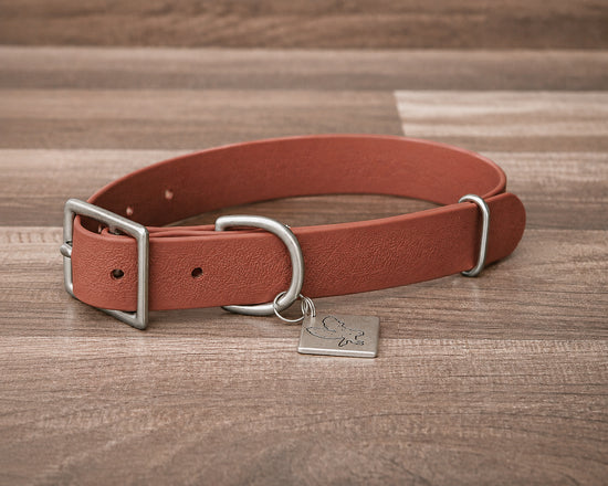 Rust Buckle Collar