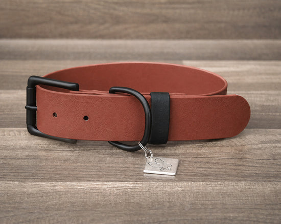 Onyx Rust Buckle Collar 1.5"