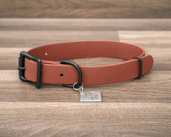 Onyx Rust Buckle Collar