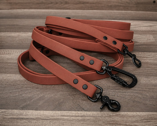 Onyx Rust Leash