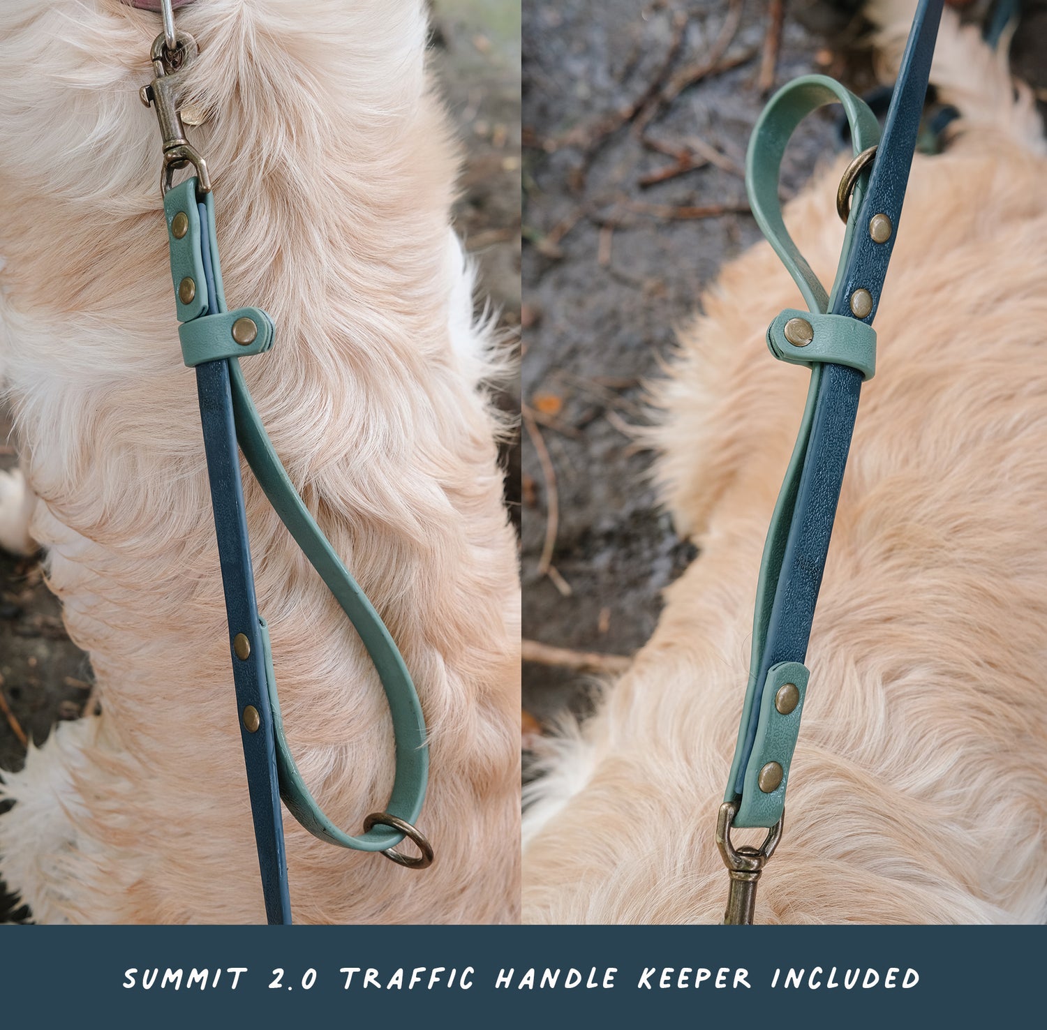 Hoot & Co Summit Hands Free Leash in solid color, adjustable dog leash with padded handle for comfortable walking.