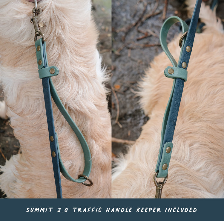 Hoot & Co Summit Hands Free Leash in solid color, adjustable dog leash with padded handle for comfortable walking.