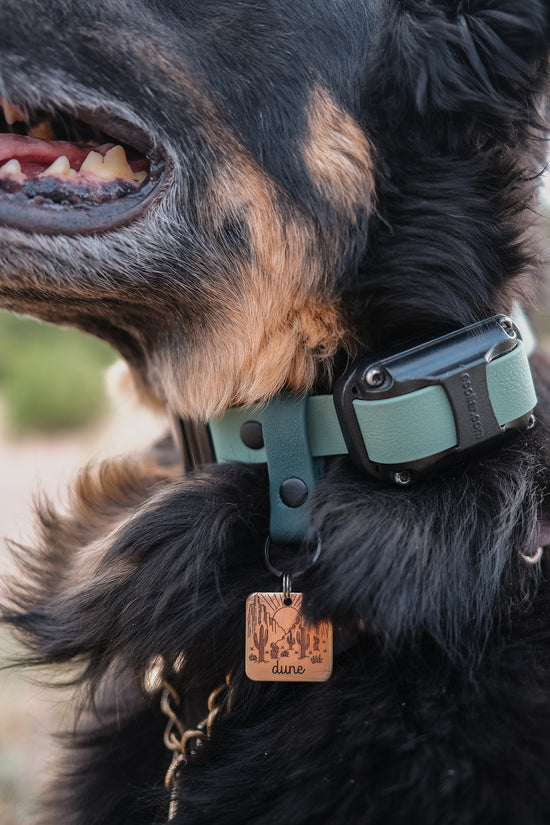 Set of three Hoot & Co tag holders with clear plastic and metal clips for organizing and displaying tags or labels.