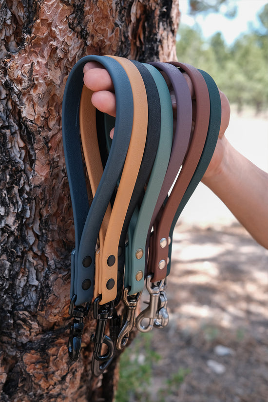 Training Tab - All Colors