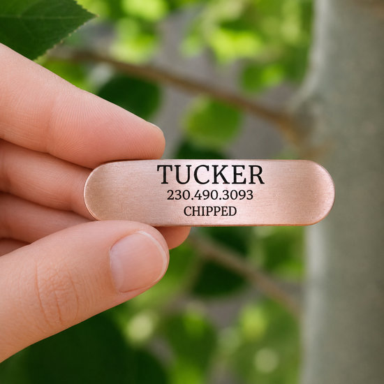 Basic Rivet On Tag