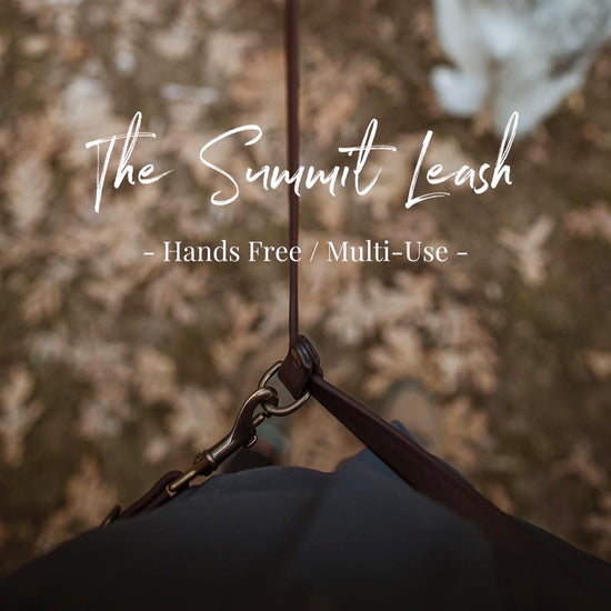 The Summit Leash / All-in-one + Hands Free - Solid Color