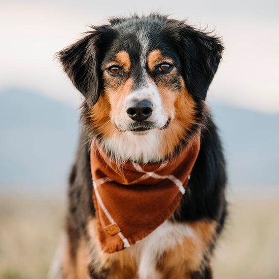 Inez Bandana