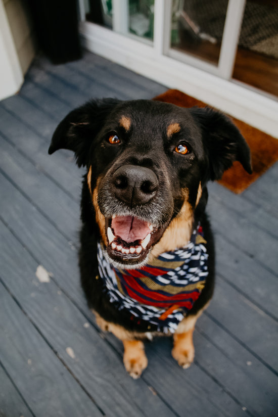 Sololá Frayed Bandana