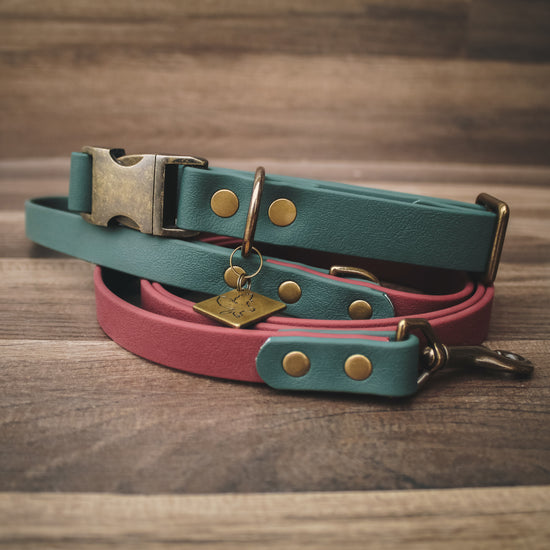 Two Tone Leash - Antique Brass Hardware - All Colors