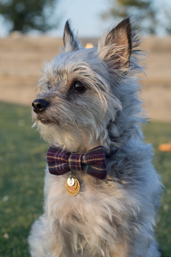 Lady Flannel Bow Tie