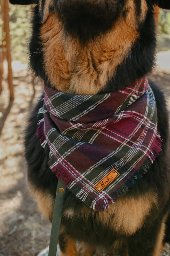 Oakley Bandana