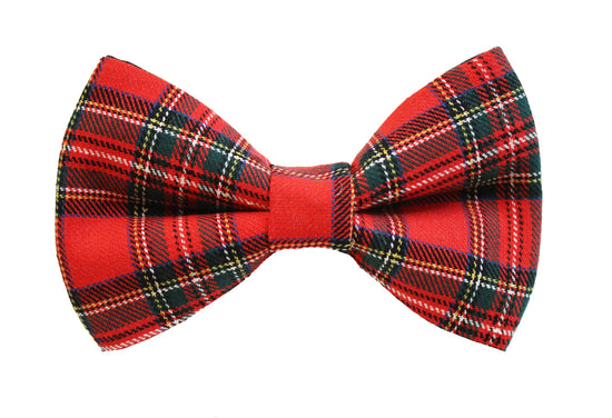 Brighton Bow Tie