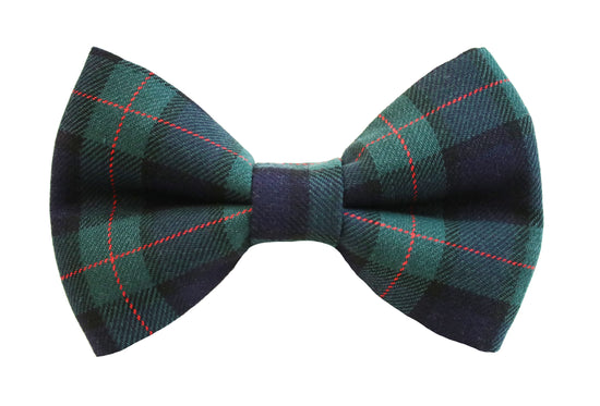 Cypress Bow Tie