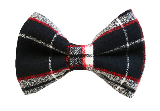 Asher Bow Tie