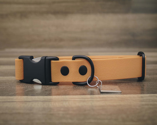 Onyx Aspen Quick Release Collar