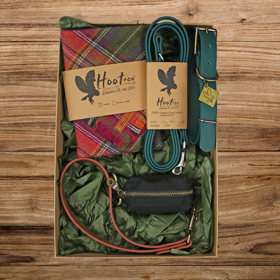 Hoot + Co Starter Box - Basic