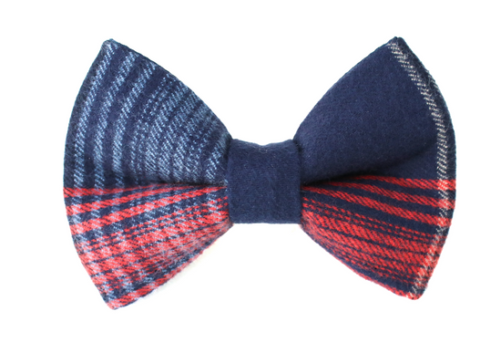 Boston Bow Tie