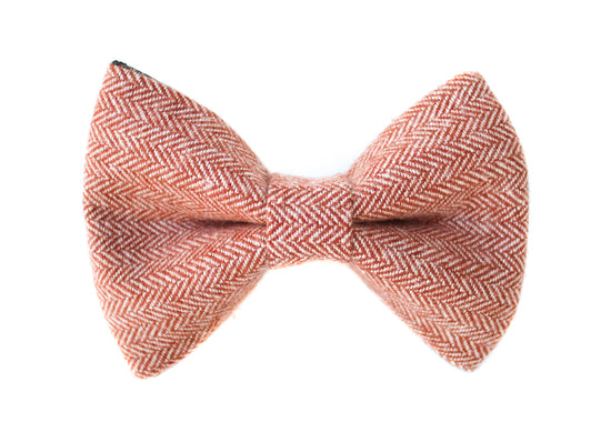 Cider Bow Tie