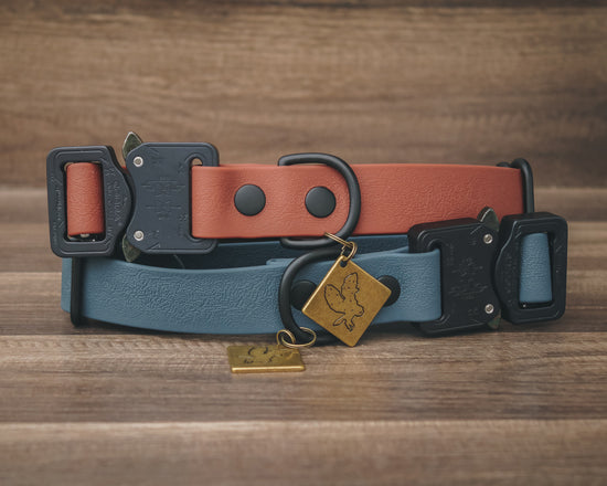 Cobra 1" Quick Release Collar - All Colors