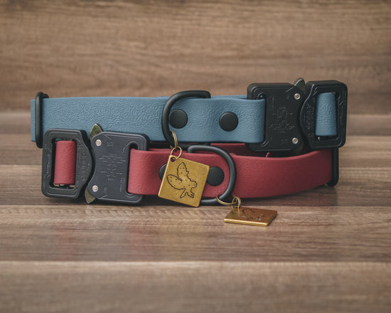 Cobra 1" Quick Release Collar - All Colors