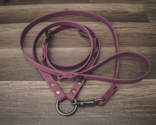 Coupler Leash Set - All Colors