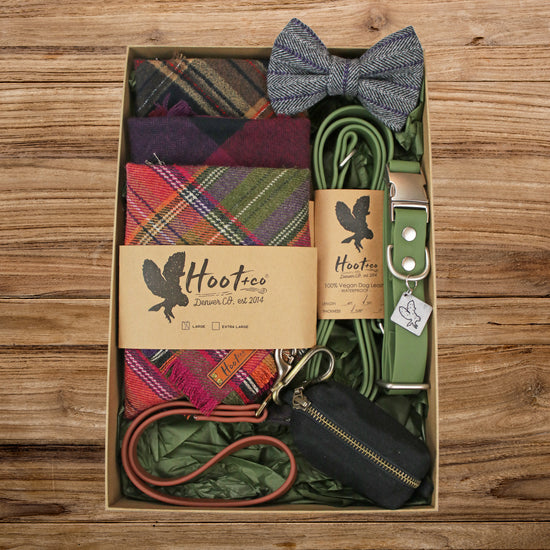 Hoot + Co Starter Box - Deluxe