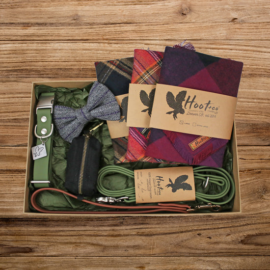 Hoot + Co Starter Box - Deluxe