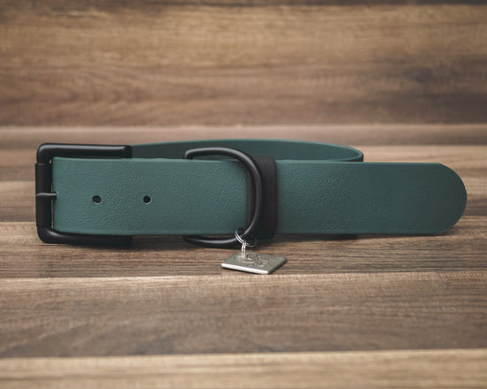 Onyx Forest Buckle Collar 1.5"