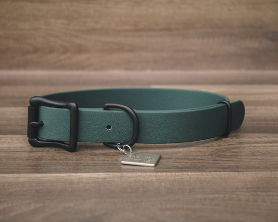 Onyx Forest Buckle Collar