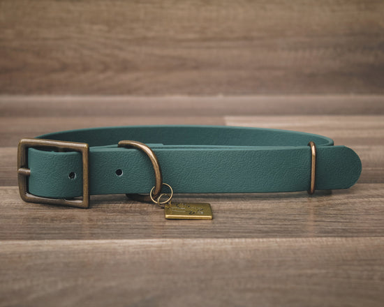Forest Buckle Collar