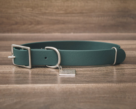 Forest Buckle Collar
