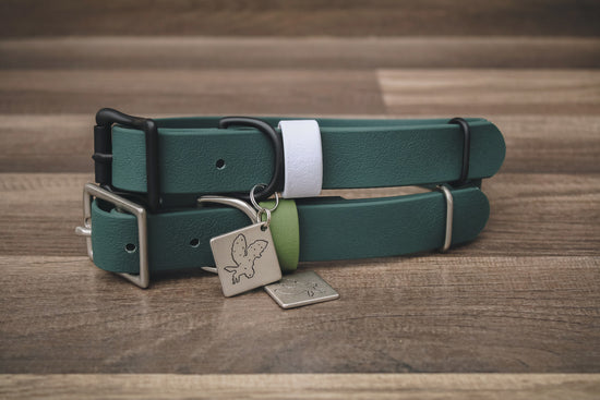 Onyx Forest Buckle Collar
