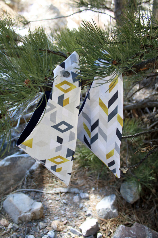 Sierra Chevron