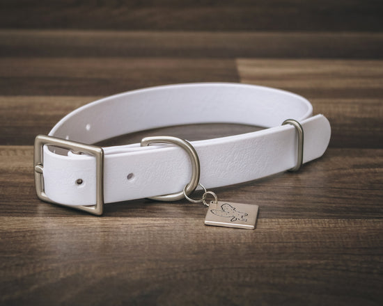 Ice Buckle Collar