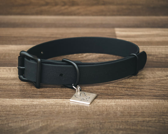 Onyx Jett Buckle Collar