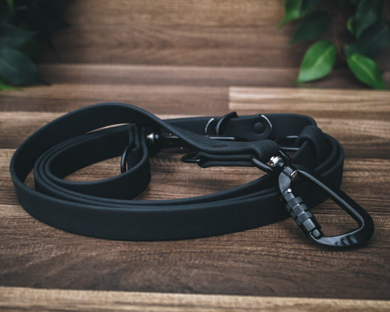 The Onyx Summit Leash / All-in-one + Hands Free - Solid