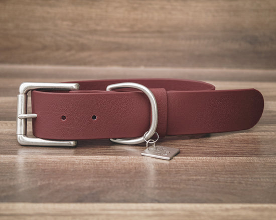 Merlot Buckle Collar 1.5"