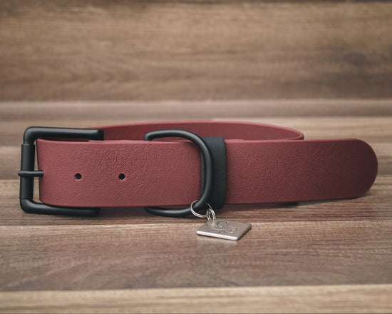 Onyx Merlot Buckle Collar 1.5"