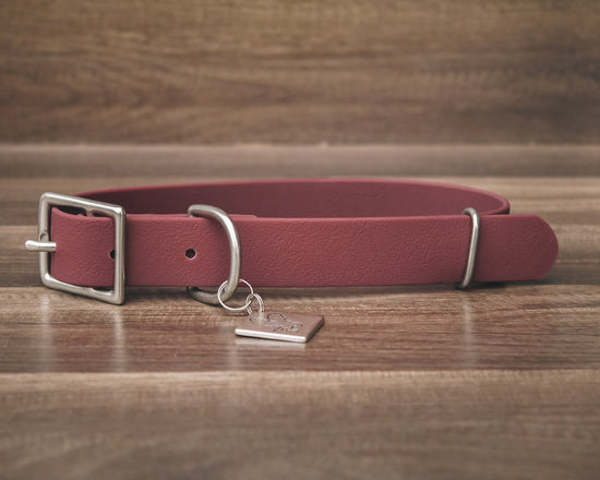 Merlot Buckle Collar