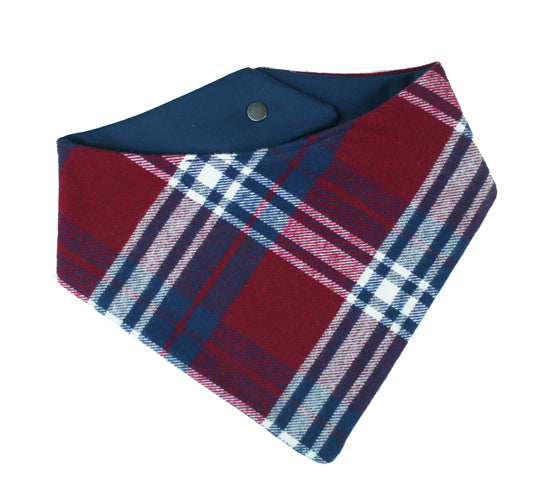 Ripley Flannel Bandana