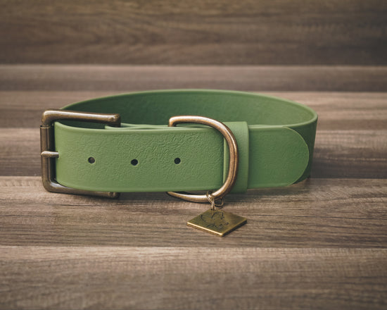 Olive Buckle Collar 1.5"