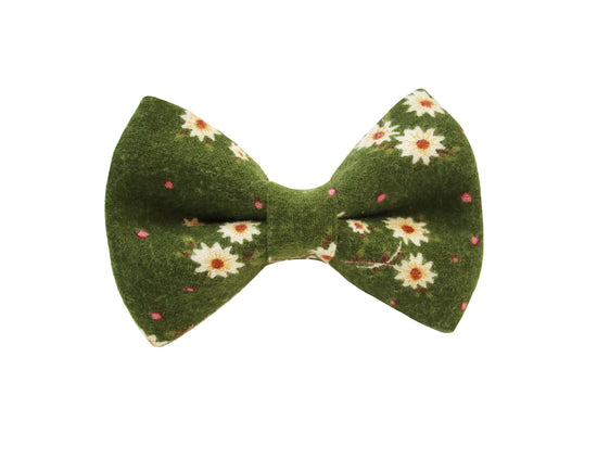 Olea Floral Bow Tie