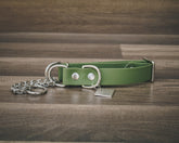 Hoot & Co olive martingale collar with adjustable strap and metal hardware for dogs, shown on a neutral background